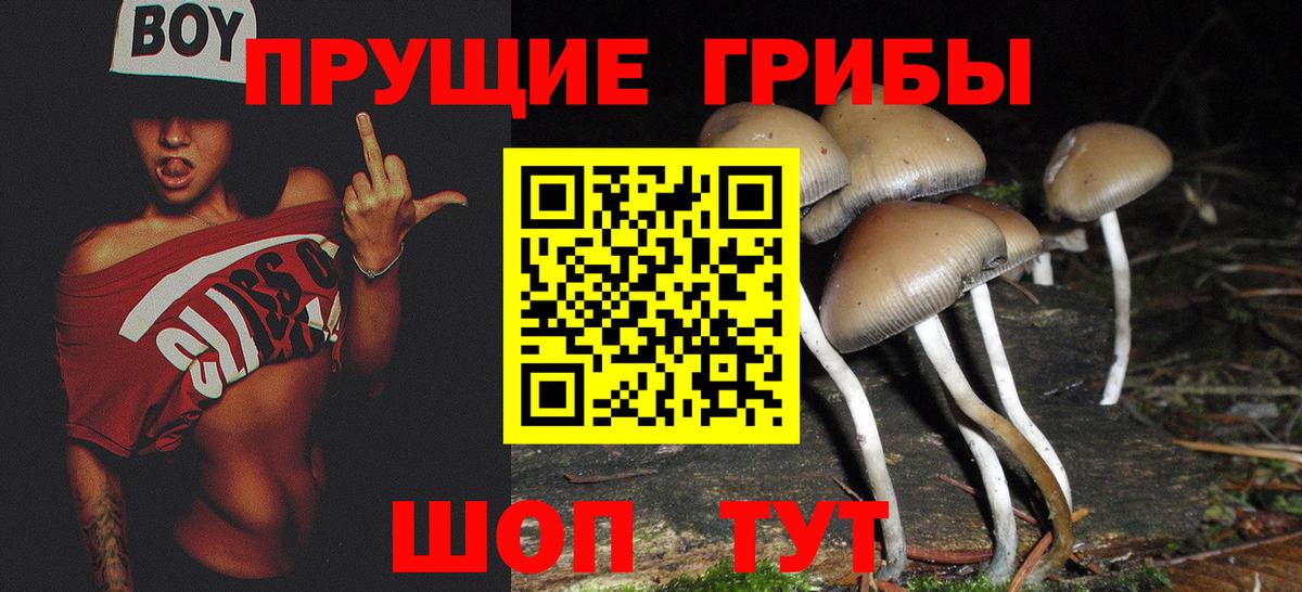Алушта  Галлюциногенные грибы Psilocybine cubensis  Вход с VPN 